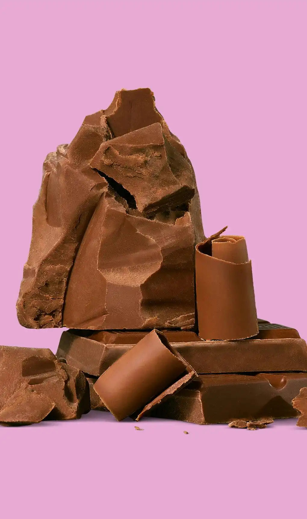 Chocolate Protein Plus Fiber Powder
